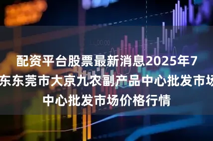 配资平台股票最新消息2025年7月11日广东东莞市大京九农副产品中心批发市场价格行情