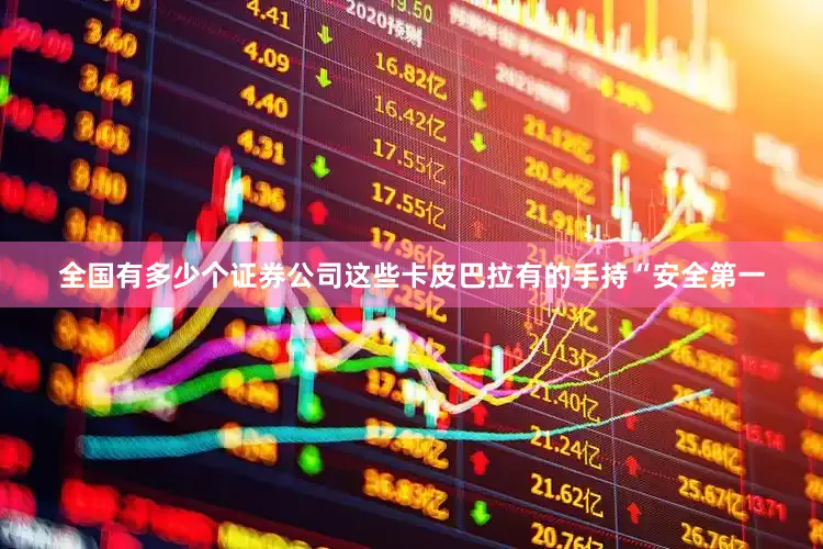 全国有多少个证券公司这些卡皮巴拉有的手持“安全第一