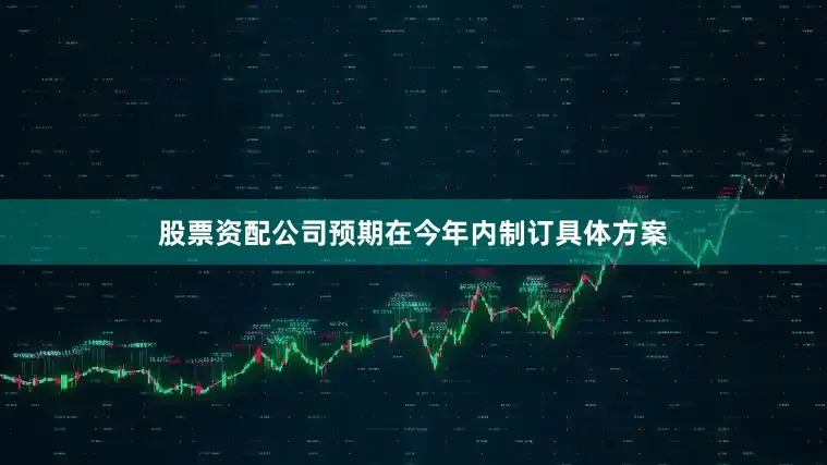 股票资配公司预期在今年内制订具体方案
