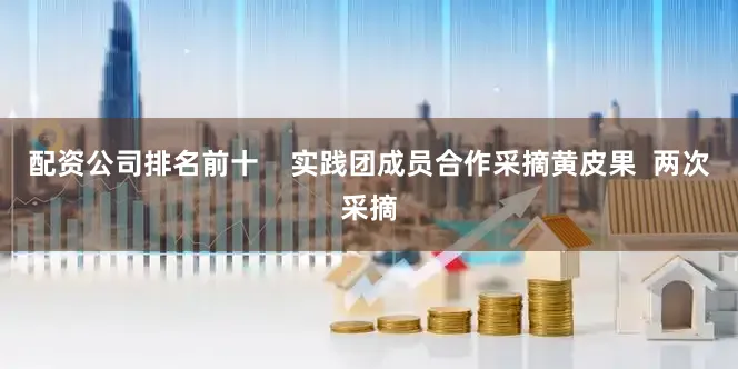 配资公司排名前十    实践团成员合作采摘黄皮果  两次采摘