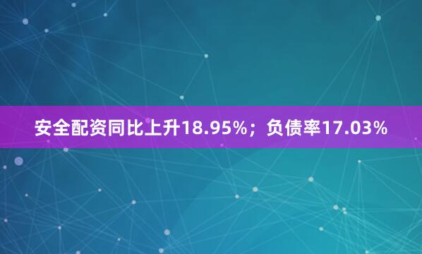 安全配资同比上升18.95%;负债率17.03%