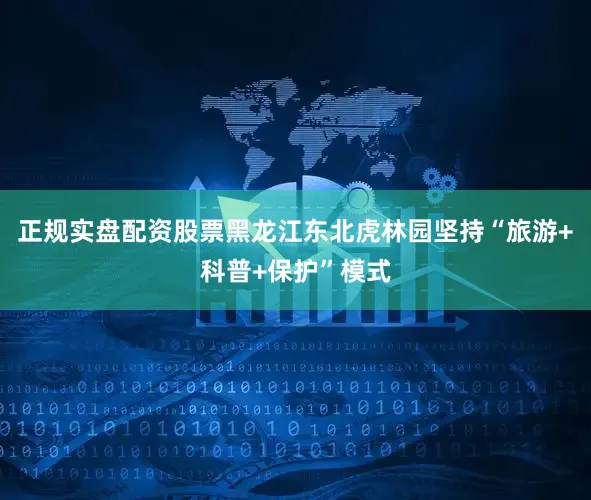 正规实盘配资股票黑龙江东北虎林园坚持“旅游+科普+保护”模式