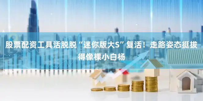 股票配资工具活脱脱“迷你版大S”复活！走路姿态挺拔得像棵小白杨